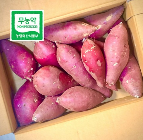 파머스넷 세척 무농약 전라남도 해남 꿀고구마 3kg 할인정보 바로가기