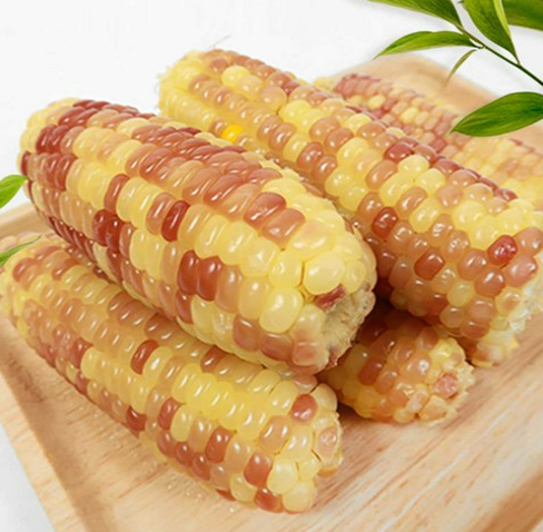 냉동 간식 유명한 홍찰 쫀득한 찰옥수수 (삶기 삶는법) 바로가기